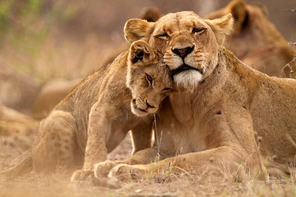 Africa Tourist Places